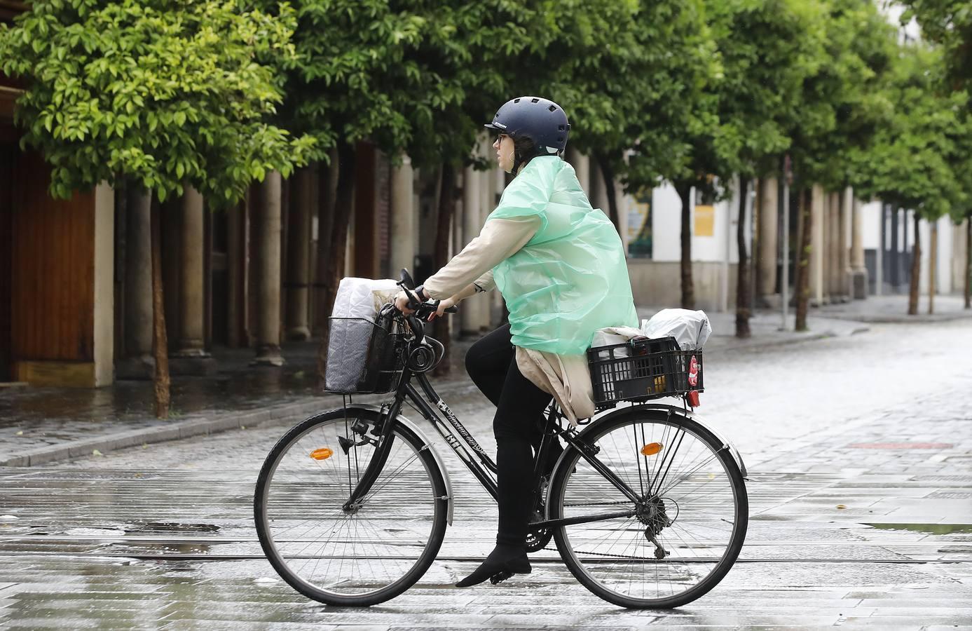 La Sevilla vaciada