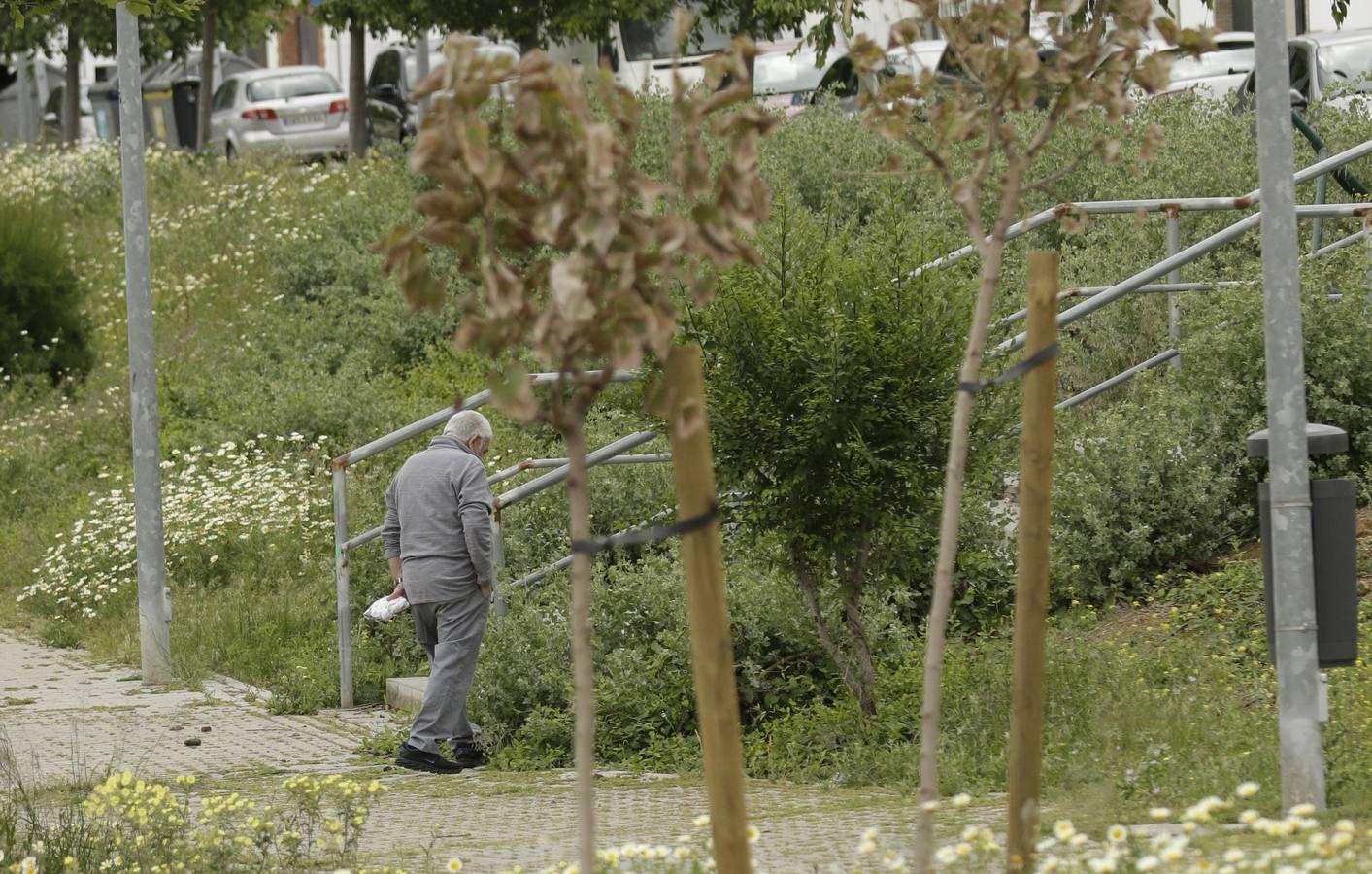 Coronavirus Sevilla: Palmete y Padre Pío durante el estado de alarma