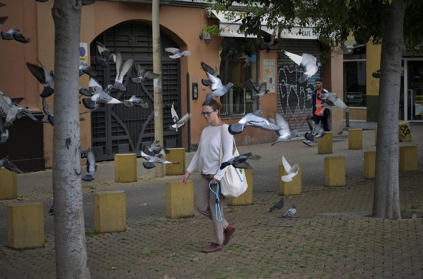 Pasea por Sevilla sin salir de casa