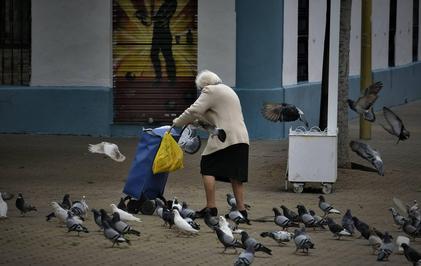 Pasea por Sevilla sin salir de casa