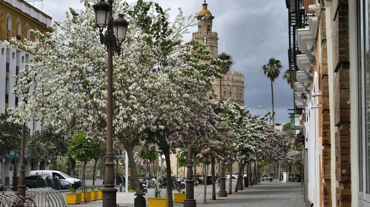 Pasea por Sevilla sin salir de casa