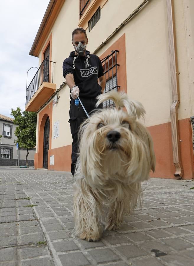 En imágenes, el confinamiento en Cañero, el barrio tranquilo