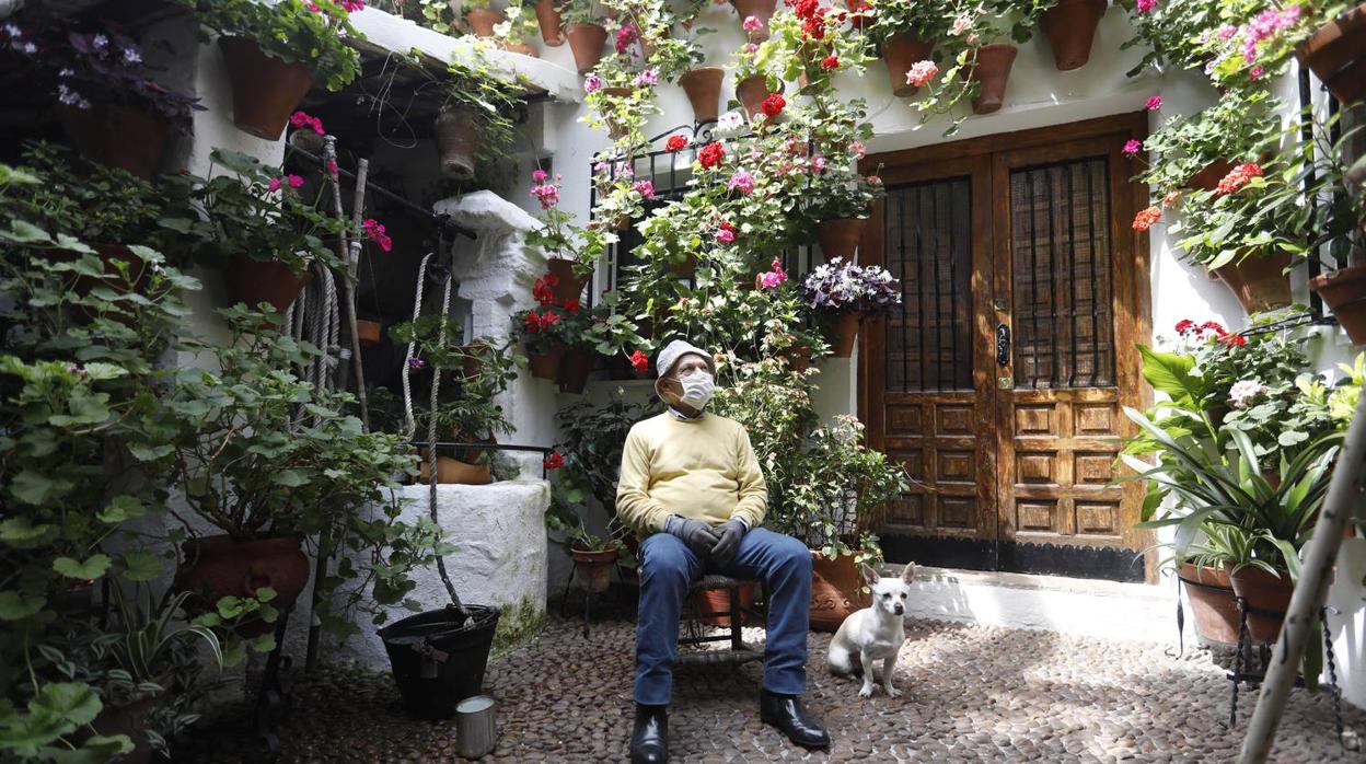 Los Patios de Córdoba florecen a puerta cerrada, en imágenes