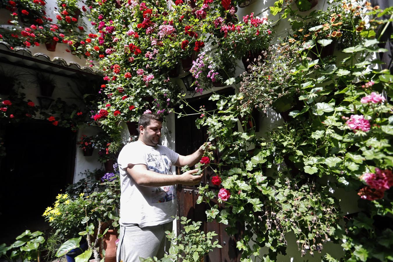 Los Patios de Córdoba florecen a puerta cerrada, en imágenes