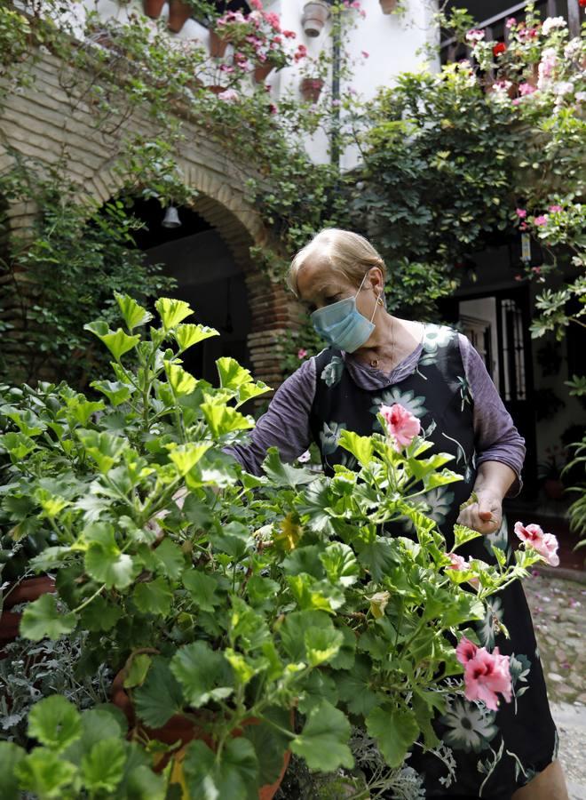 Los Patios de Córdoba florecen a puerta cerrada, en imágenes