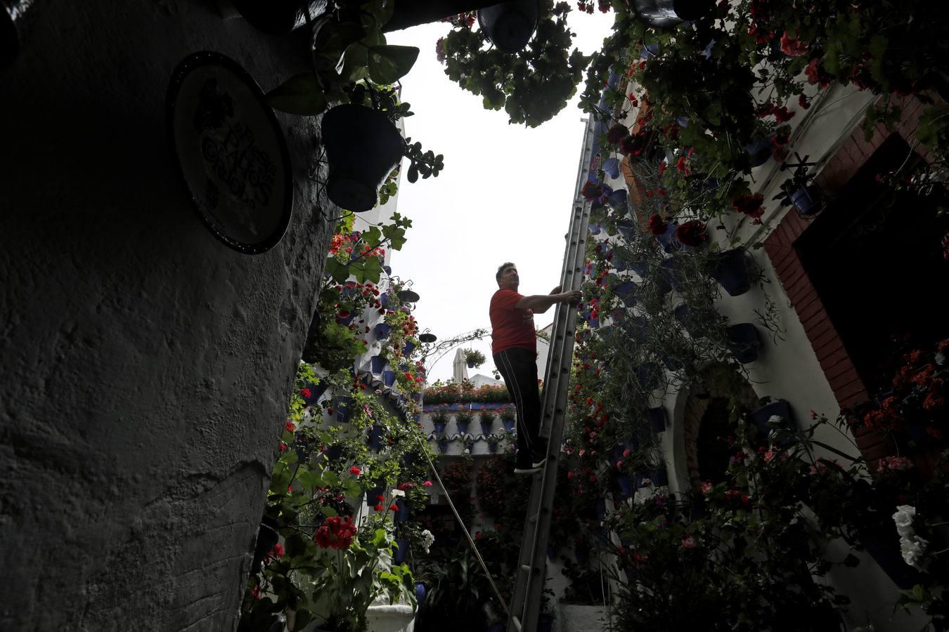 Los Patios de Córdoba florecen a puerta cerrada, en imágenes