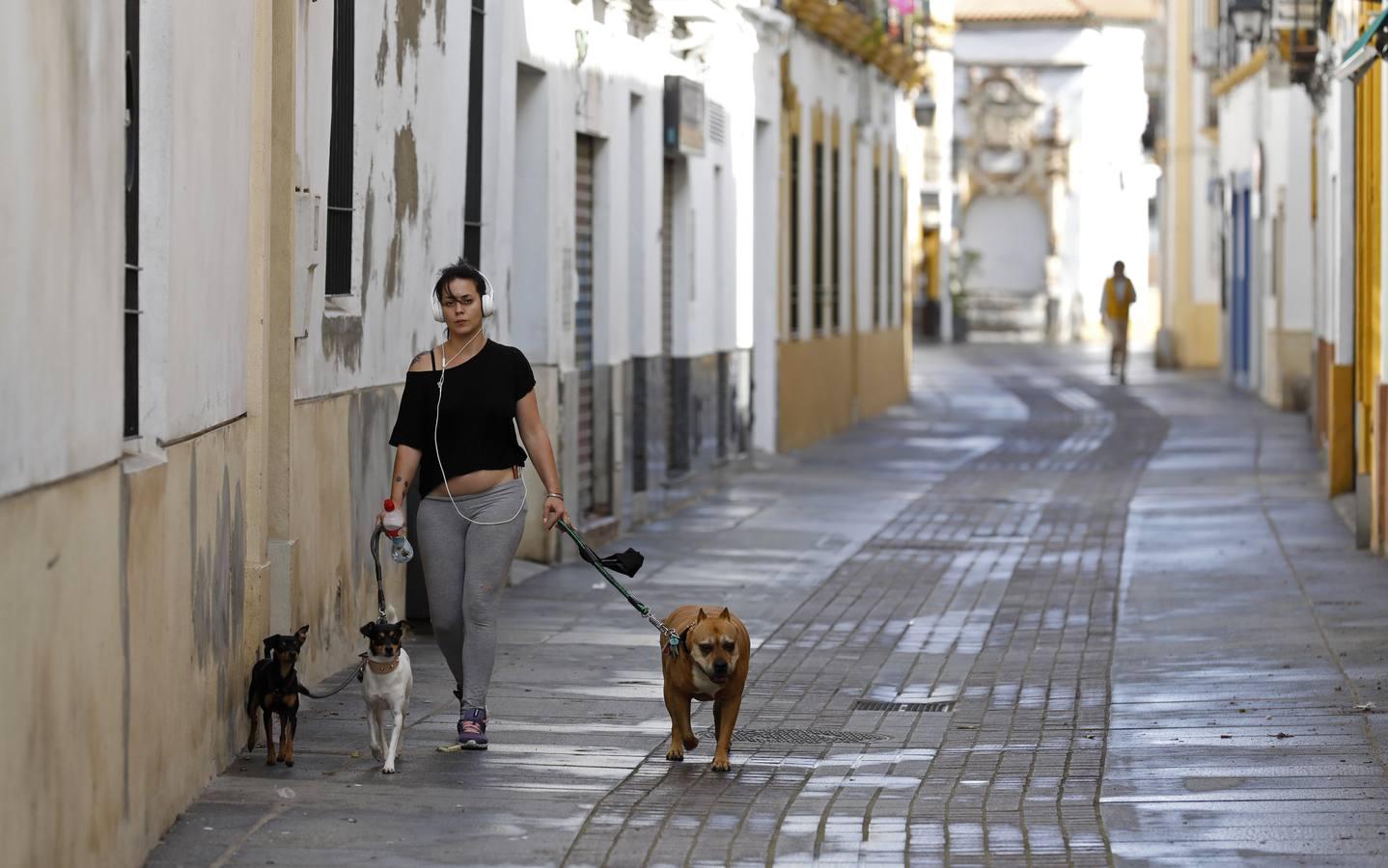 Coronavirus por barrios en Córdoba | El confinamiento en San Agustín, en imágenes