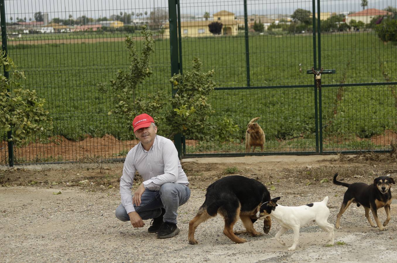 Coronavirus en Sevilla: así vive se vive el confinamiento en la barriada de El Gordillo