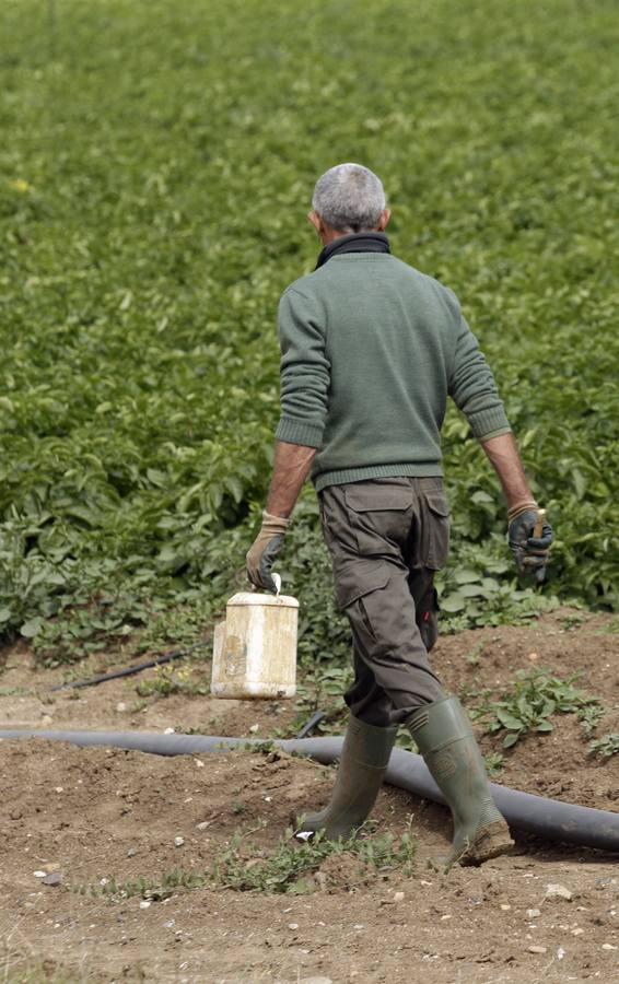 Coronavirus en Sevilla: así vive se vive el confinamiento en la barriada de El Gordillo