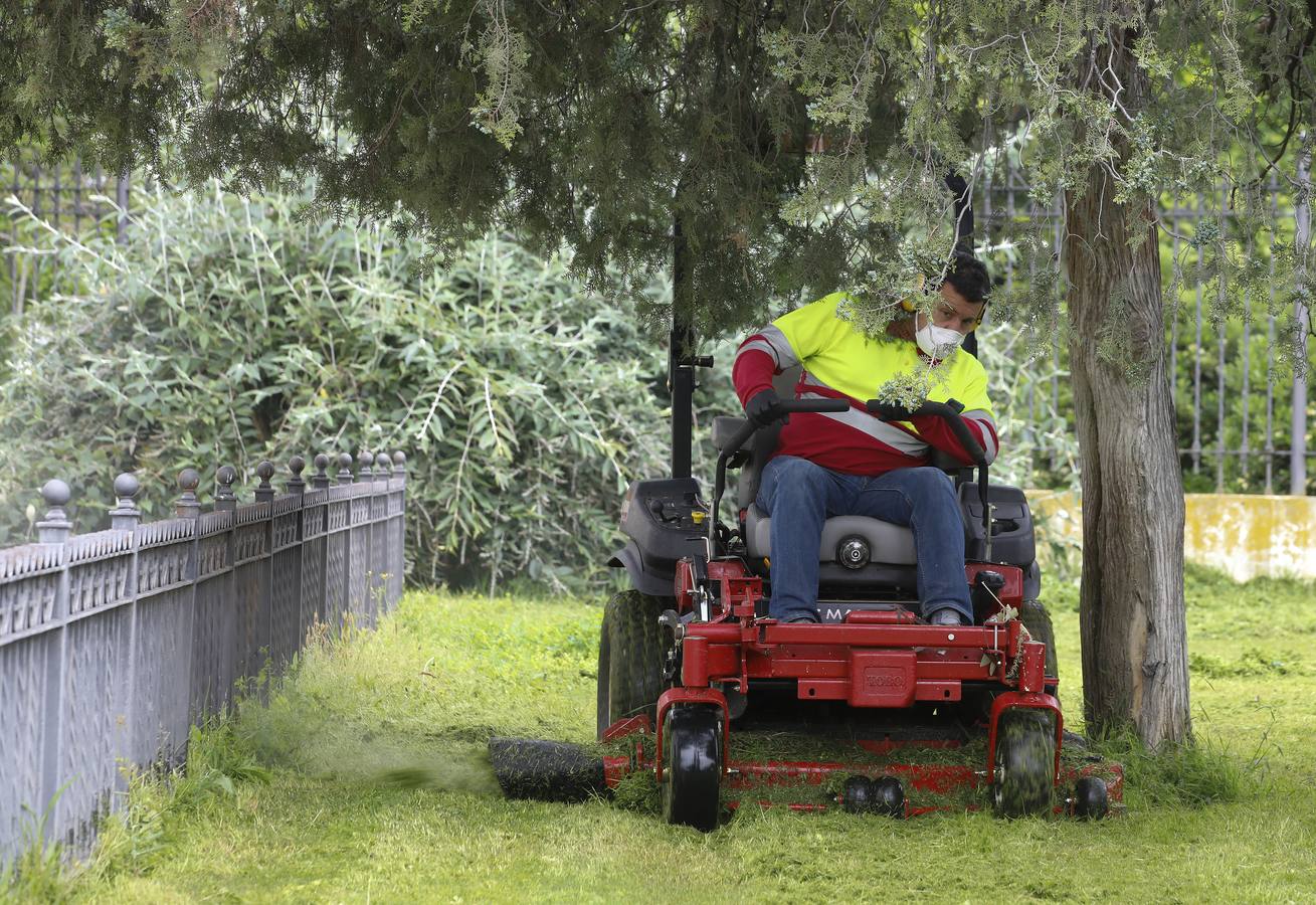 El cuidado de los parques y jardines de Sevilla no se detiene