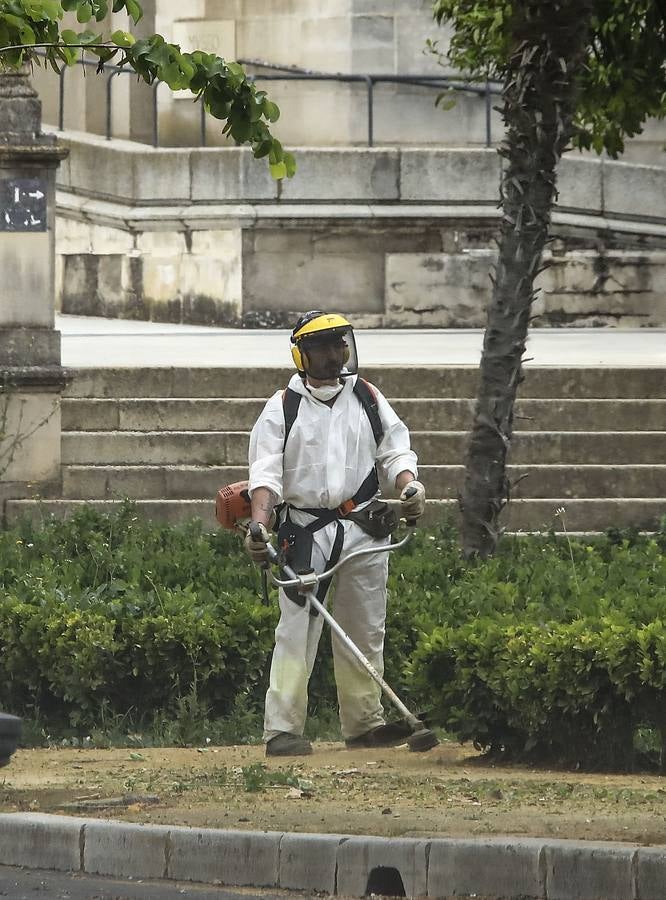 El cuidado de los parques y jardines de Sevilla no se detiene