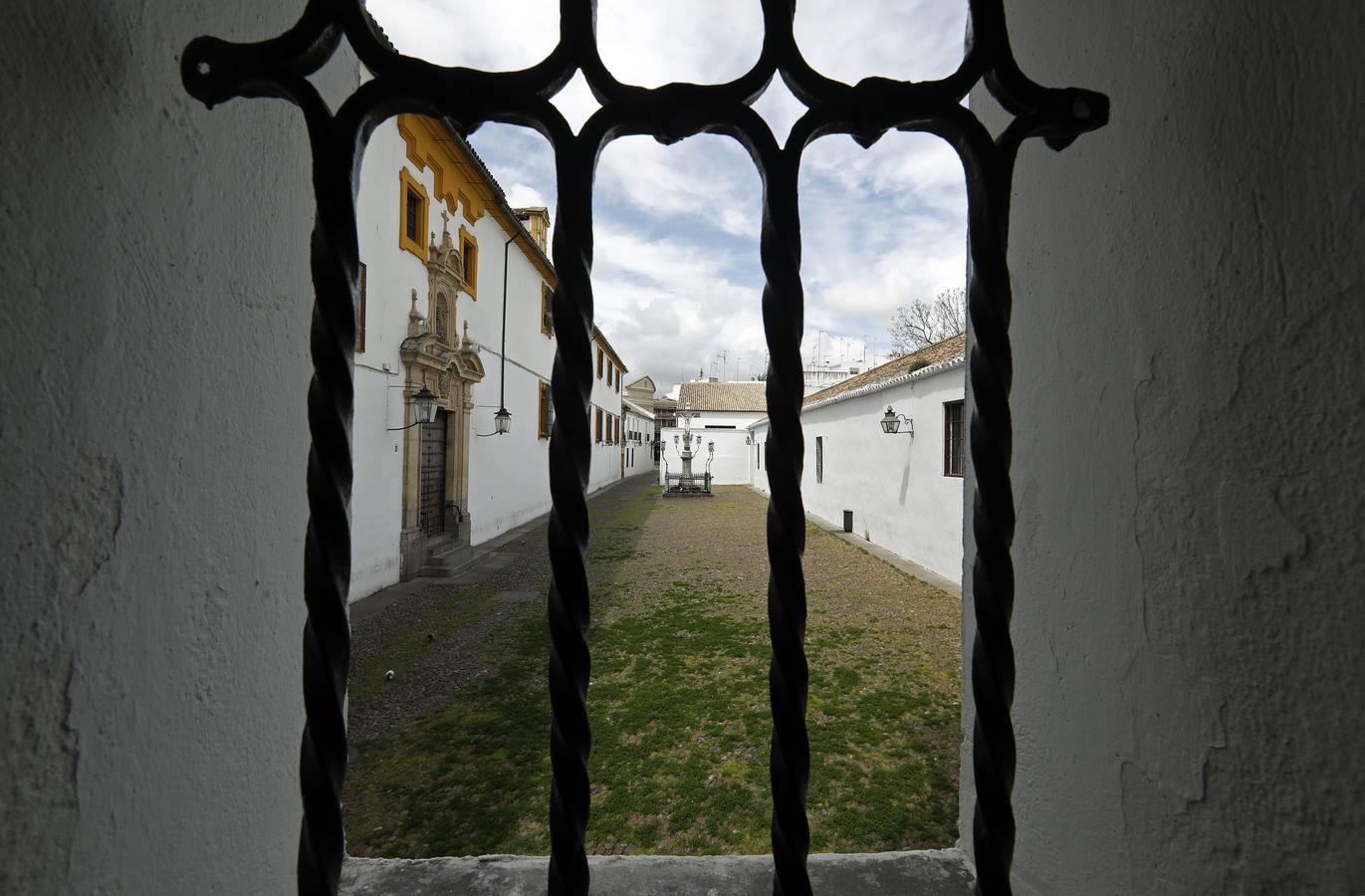 El poético tapete verde de la plaza de Capuchinos de Córdoba, en imágenes