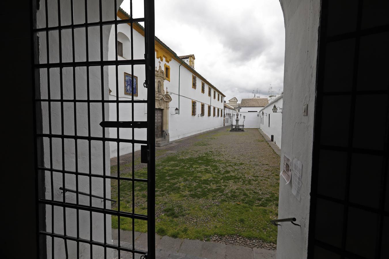 El poético tapete verde de la plaza de Capuchinos de Córdoba, en imágenes