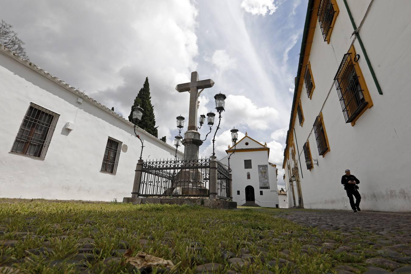 El poético tapete verde de la plaza de Capuchinos de Córdoba, en imágenes