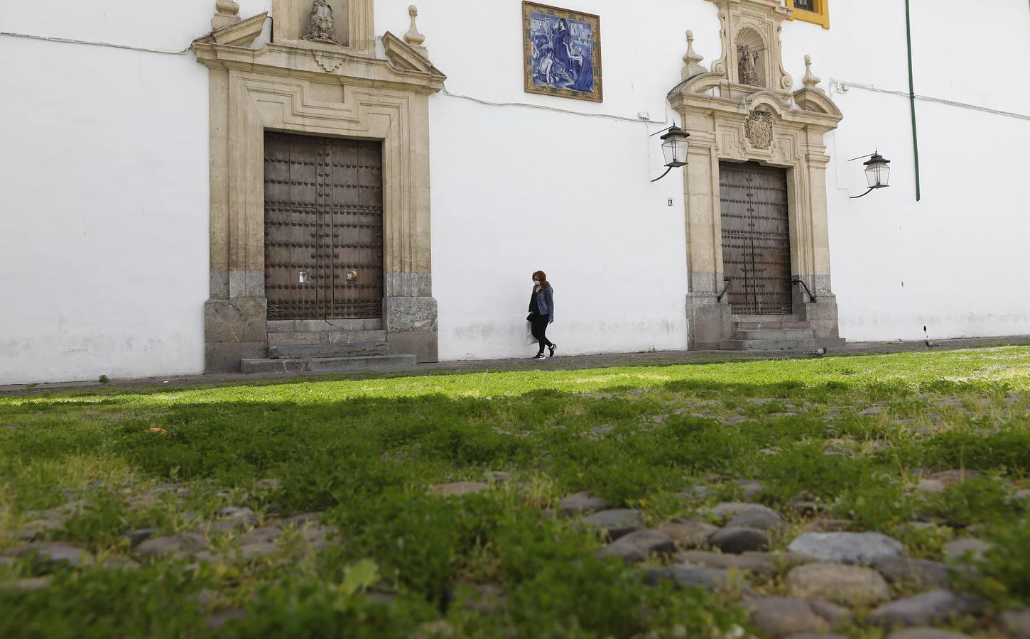 El poético tapete verde de la plaza de Capuchinos de Córdoba, en imágenes