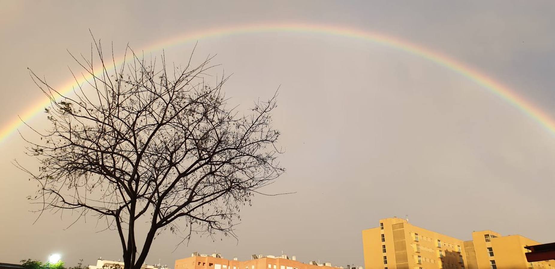 Así captaron los lectores de ABC de Sevilla el arcoíris el lunes