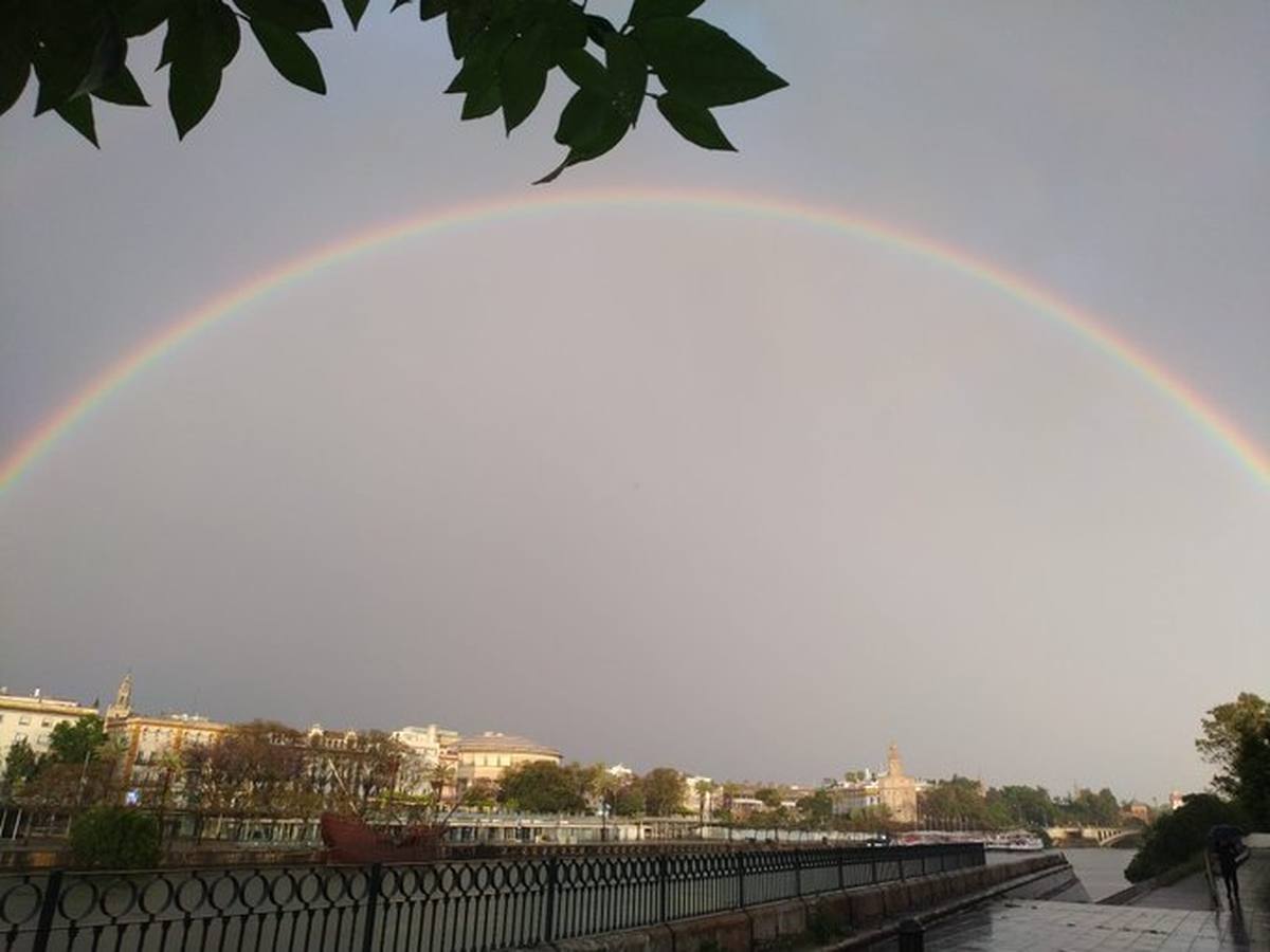 Así captaron los lectores de ABC de Sevilla el arcoíris el lunes