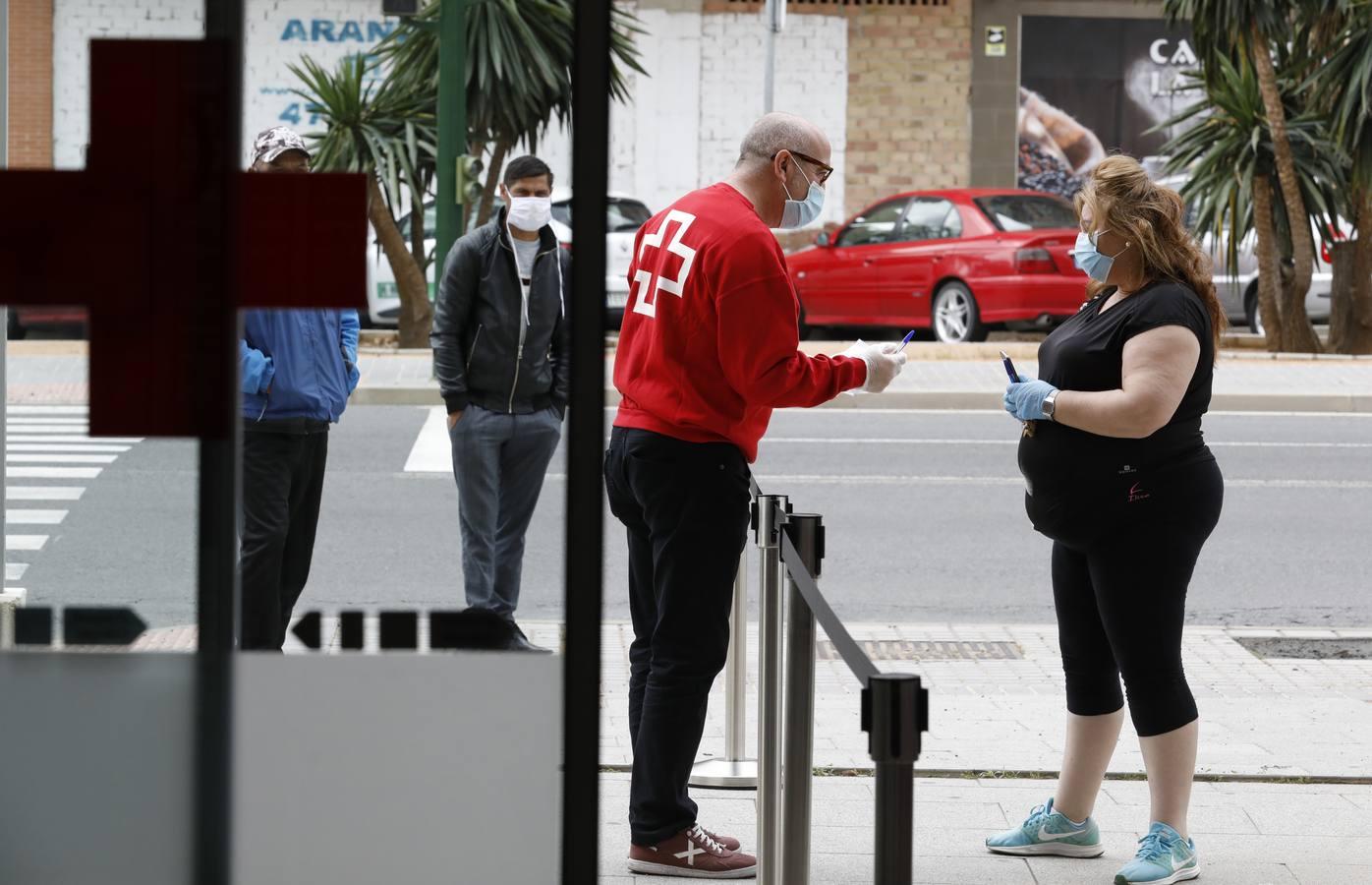 El reparto de vales de alimentos de Cruz Roja de Córdoba, en imágenes