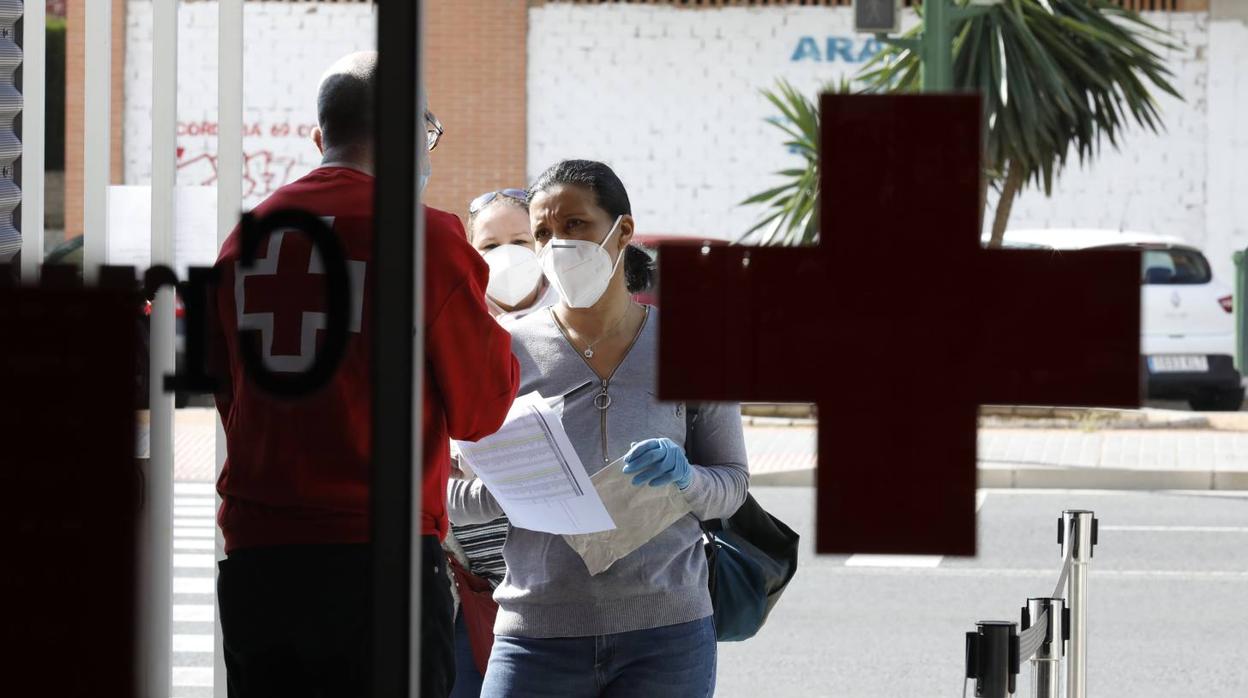 El reparto de vales de alimentos de Cruz Roja de Córdoba, en imágenes