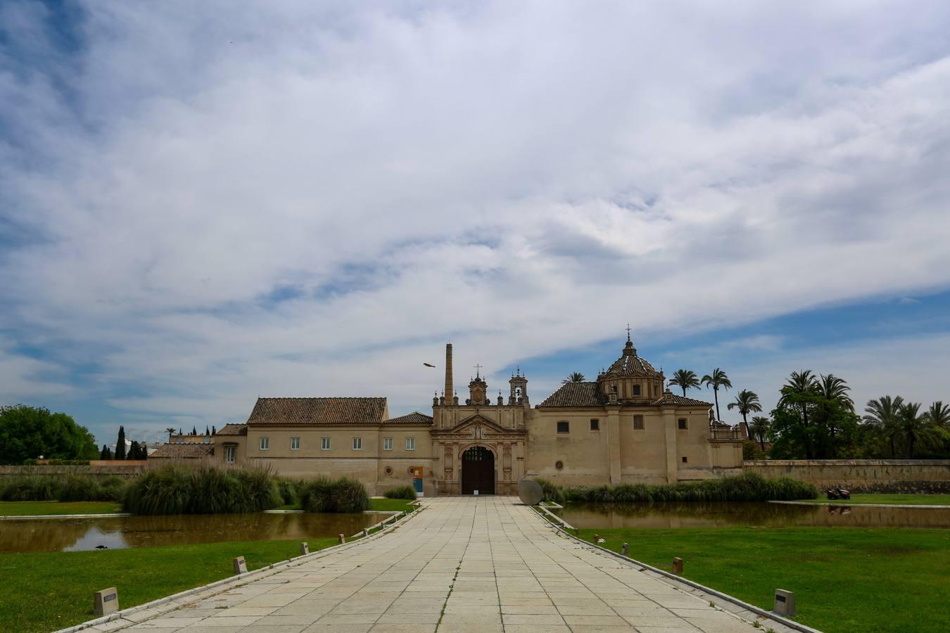 La Isla de La Cartuja en absoluta soledad