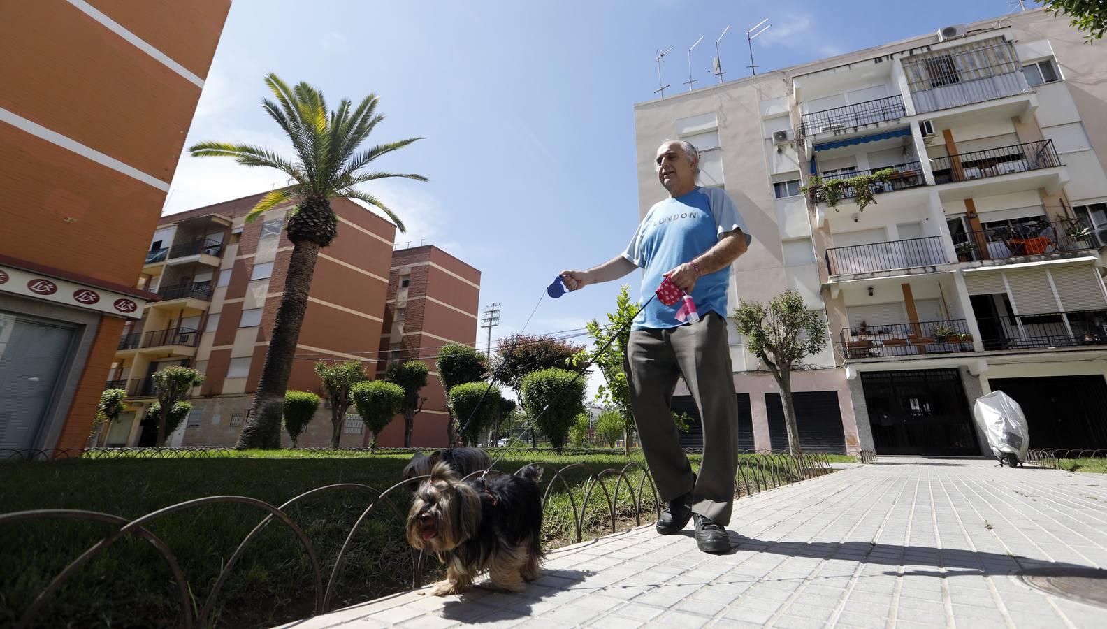 La crisis del coronavirus en el Parque Cruz Conde de Córdoba, en imágenes