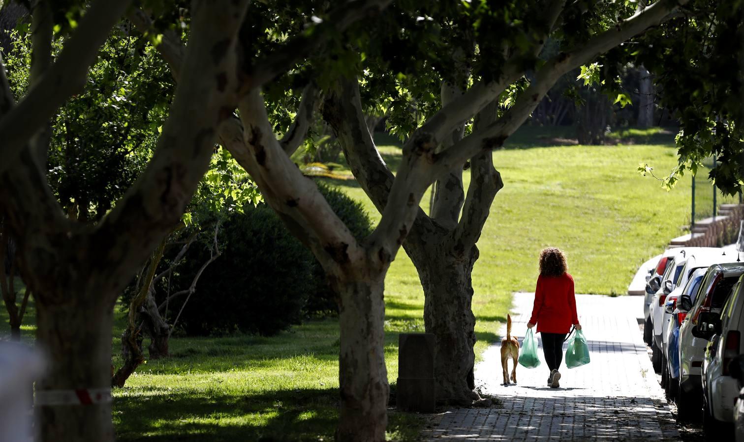 La crisis del coronavirus en el Parque Cruz Conde de Córdoba, en imágenes