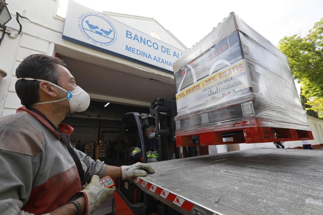 El trabajo del Banco de Alimentos de Córdoba, en imágenes