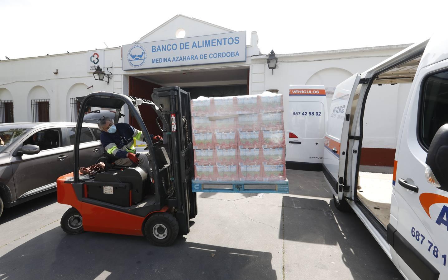 El trabajo del Banco de Alimentos de Córdoba, en imágenes