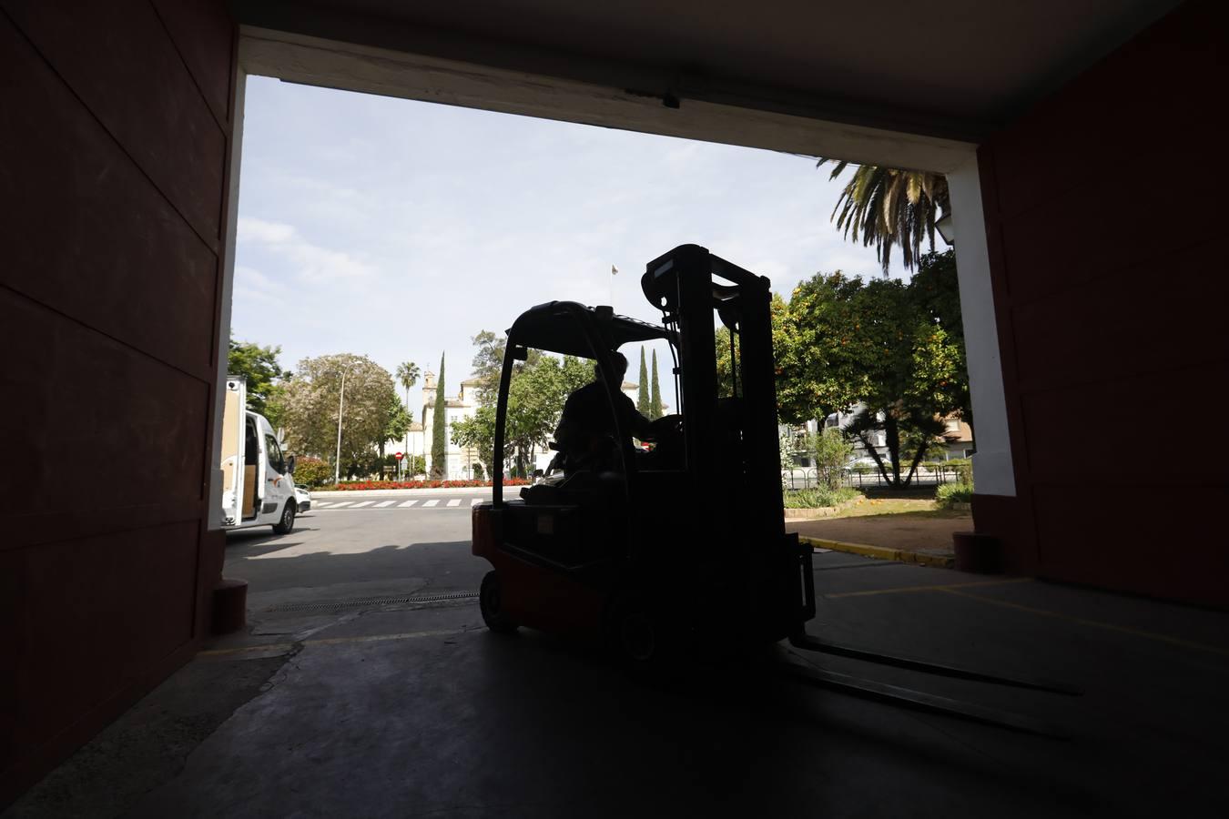 El trabajo del Banco de Alimentos de Córdoba, en imágenes