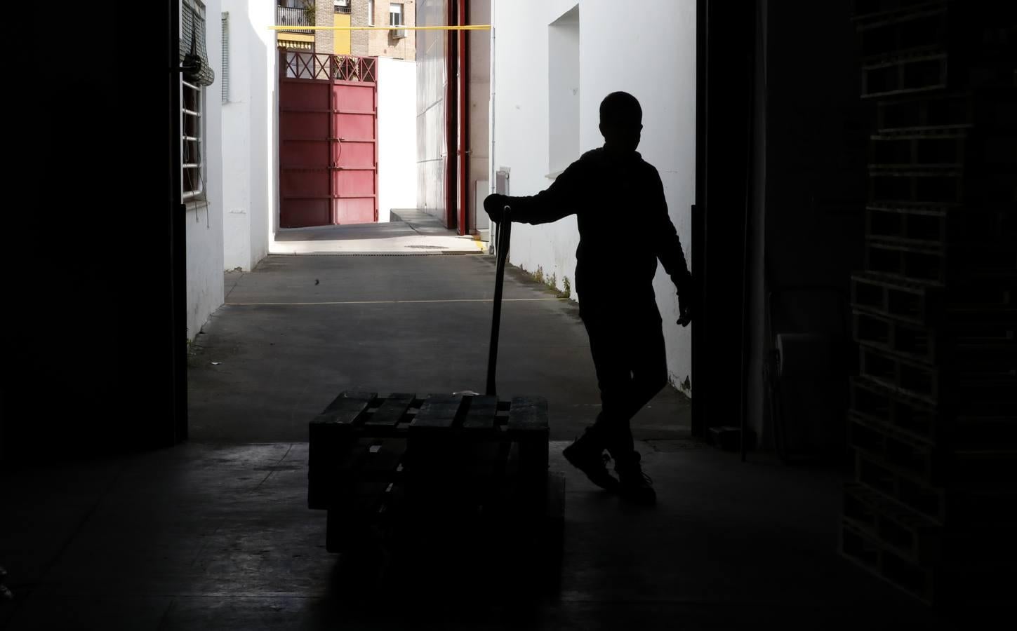 El trabajo del Banco de Alimentos de Córdoba, en imágenes