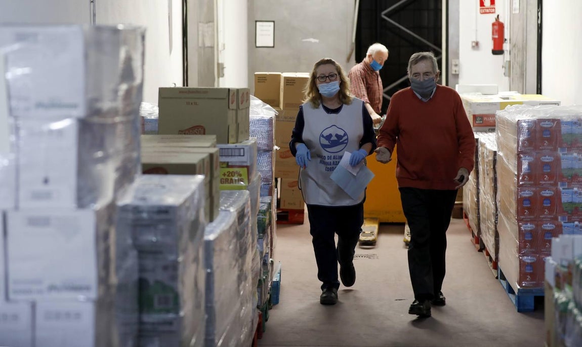 El trabajo del Banco de Alimentos de Córdoba, en imágenes