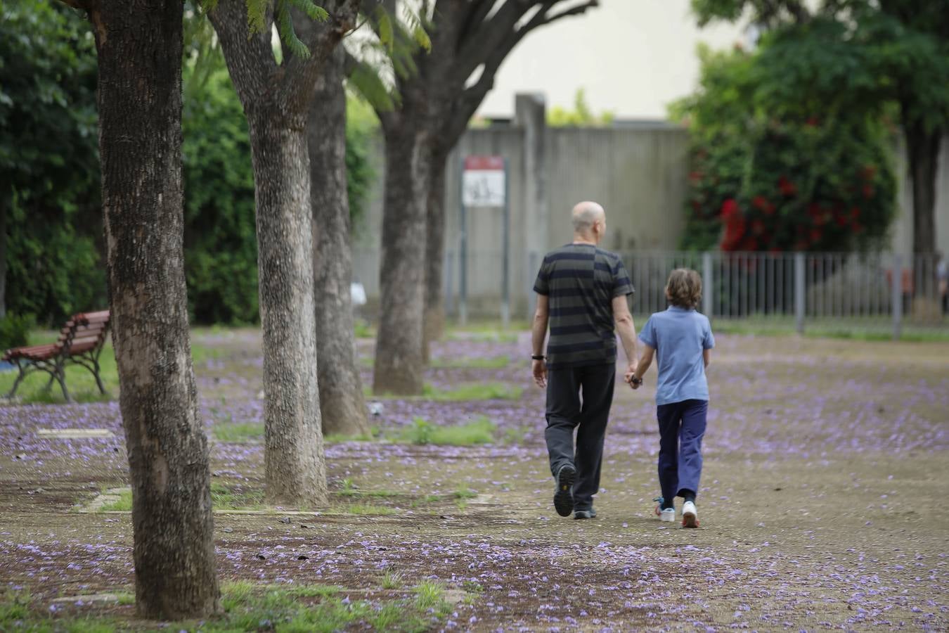 Los primeros paseos de los niños sevillanos tras más de cuarenta días en casa por el coronavirus