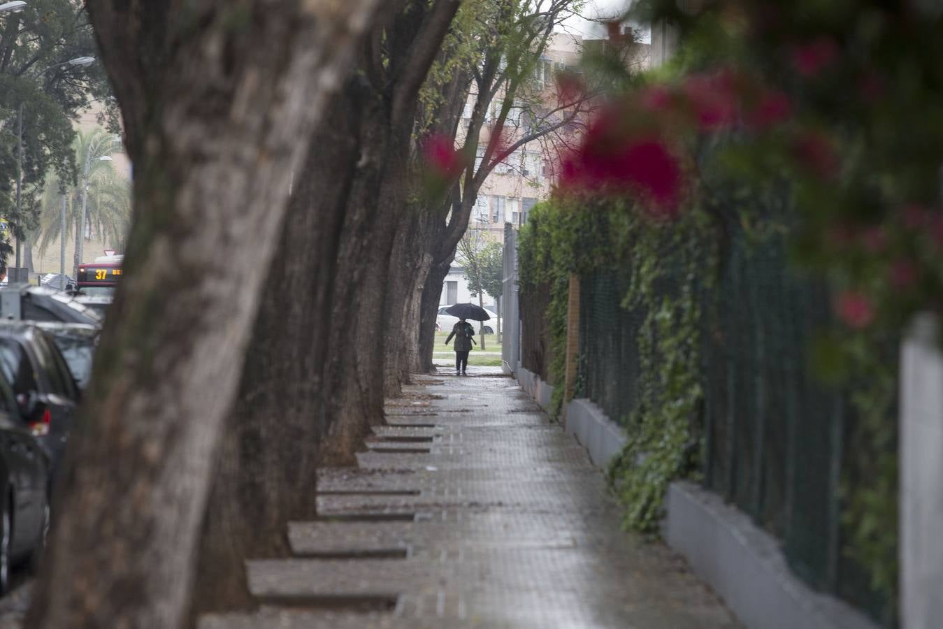 Coronavirus en Sevilla: así se vive durante el estado de alarma en Pedro Salvador