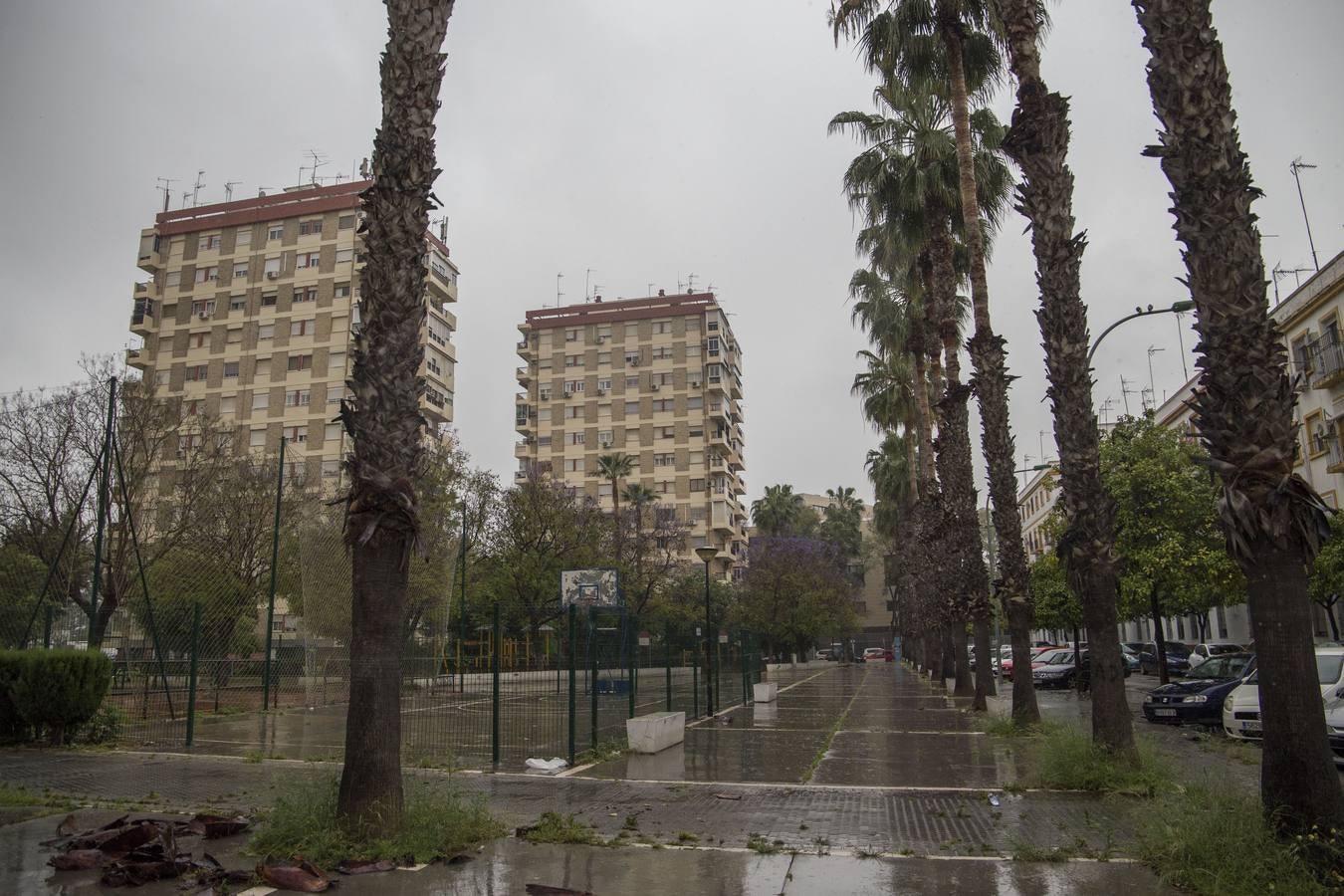 Coronavirus en Sevilla: así se vive durante el estado de alarma en Pedro Salvador