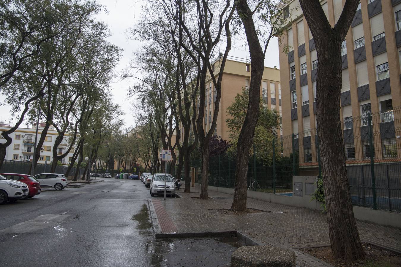 Coronavirus en Sevilla: así se vive durante el estado de alarma en Pedro Salvador