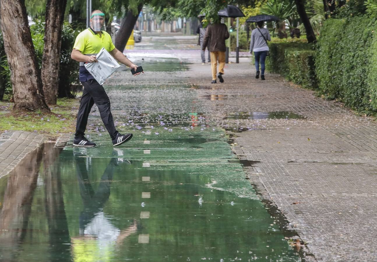 Últimas lluvias de abril