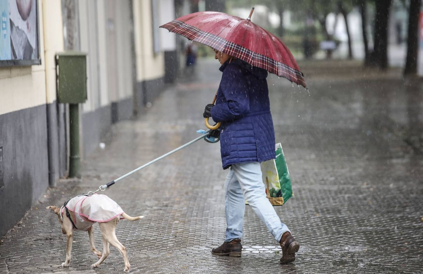 Últimas lluvias de abril