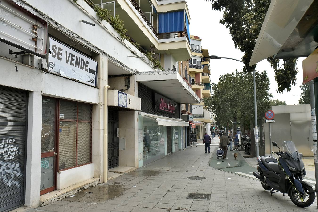 Desolación en las calles comerciales de Sevilla a la espera de la vuelta de actividad