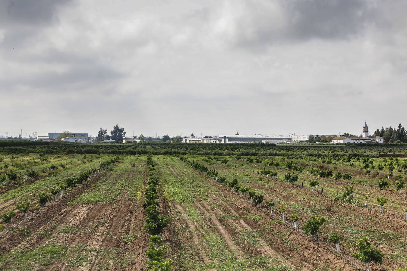 Coronavirus en Sevilla: así se vive en La Rinconada el estado de alarma