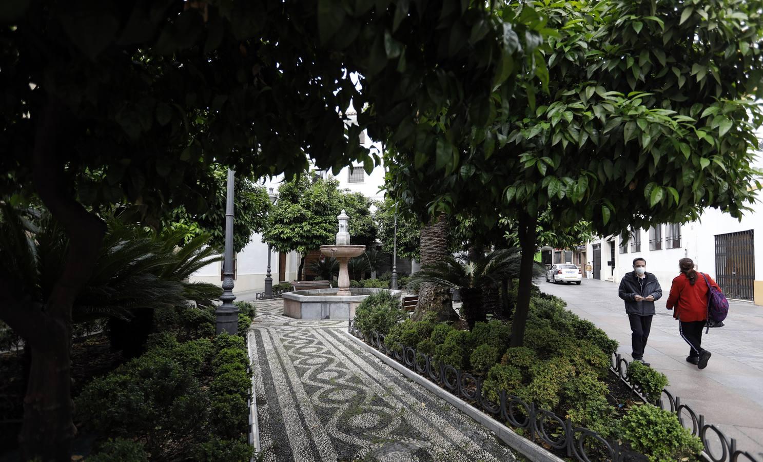 Las de Cruces de Córdoba huérfanas en el Mayo festivo, en imágenes