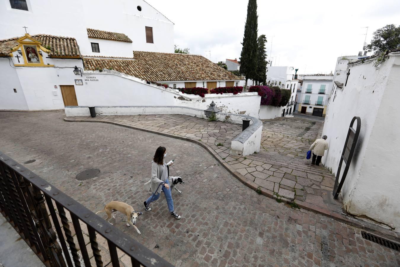 Las de Cruces de Córdoba huérfanas en el Mayo festivo, en imágenes