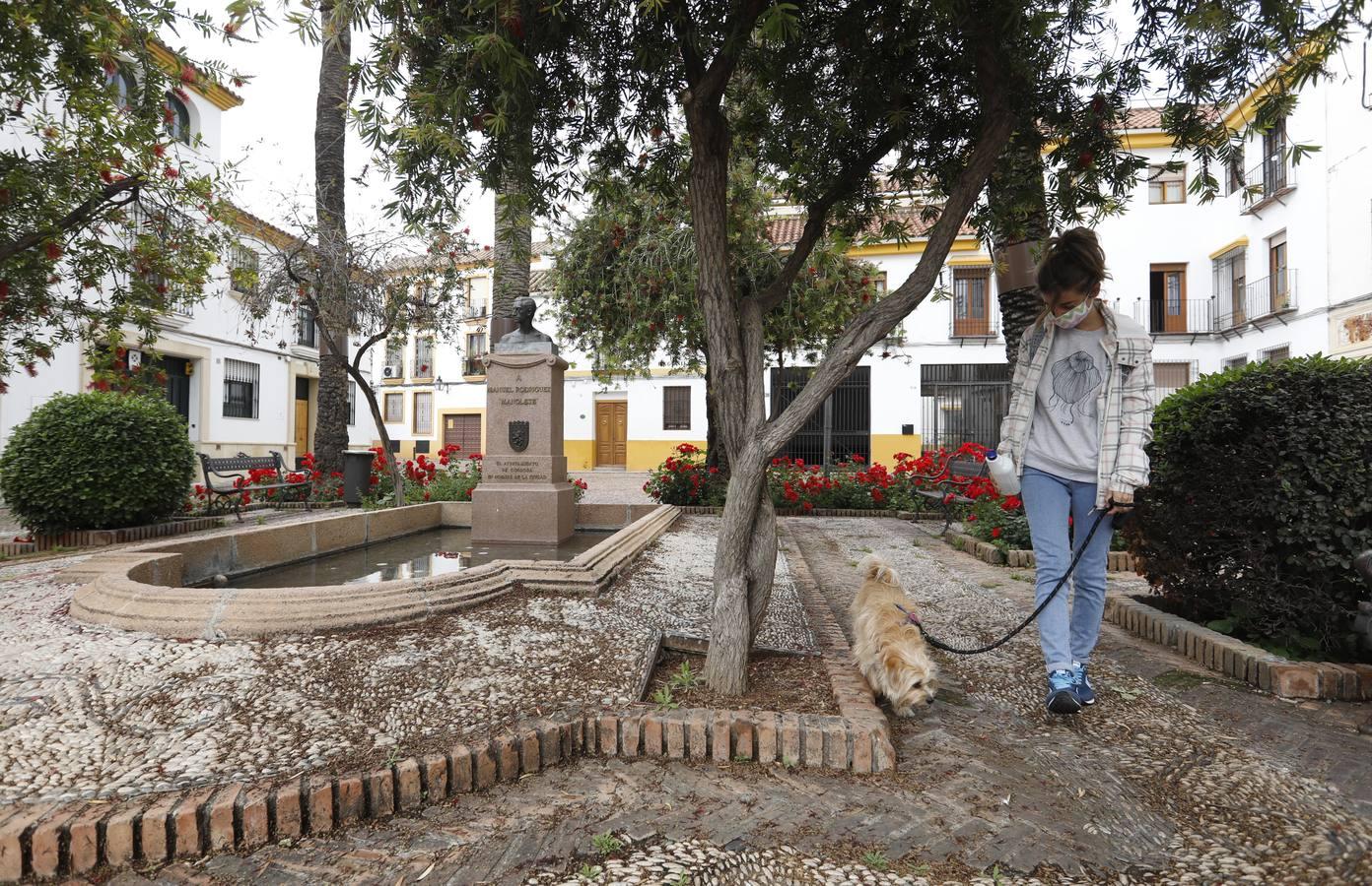 Las de Cruces de Córdoba huérfanas en el Mayo festivo, en imágenes