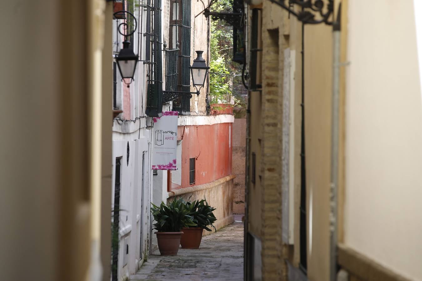 «Desescalada» en Sevilla: zonas monumentales en las que es imposible el distanciamiento social