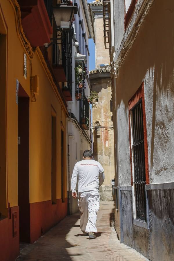 «Desescalada» en Sevilla: zonas monumentales en las que es imposible el distanciamiento social