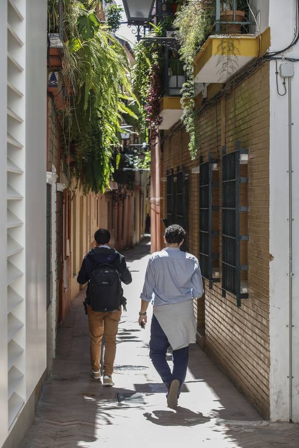 «Desescalada» en Sevilla: zonas monumentales en las que es imposible el distanciamiento social