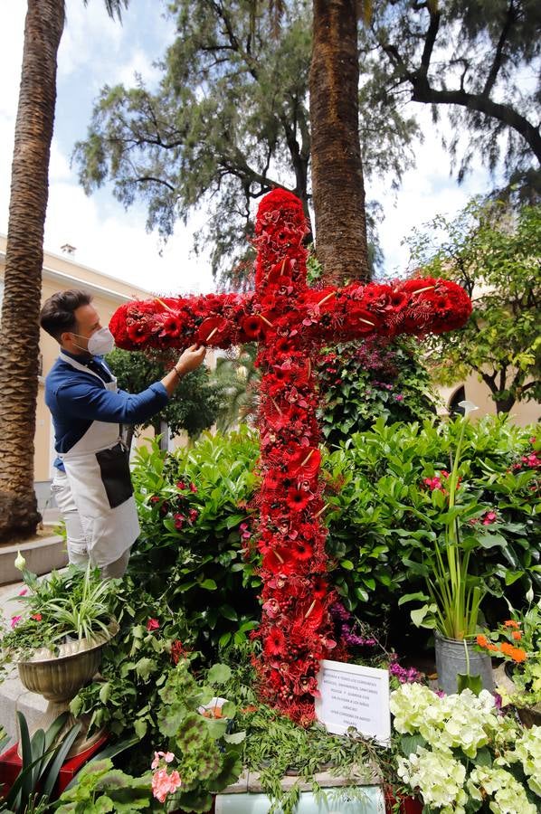 En imágenes, cómo celebra Córdoba las Cruces pese al coronavirus