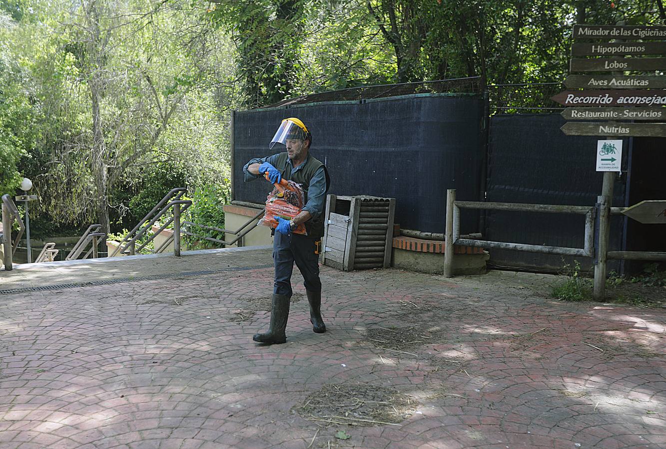 Fotos: El zoo de Jerez en los tiempos del coronavirus