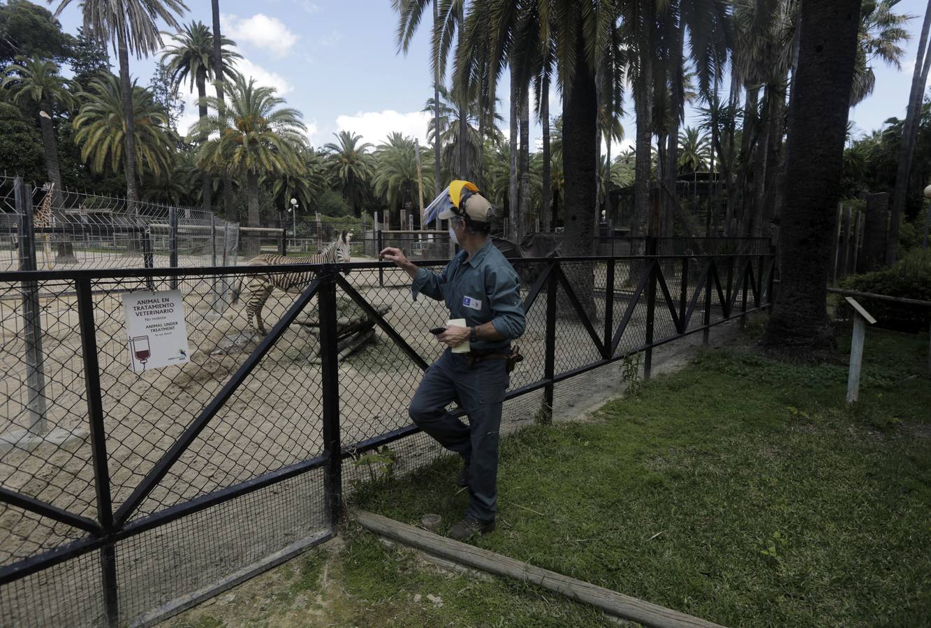 Fotos: El zoo de Jerez en los tiempos del coronavirus