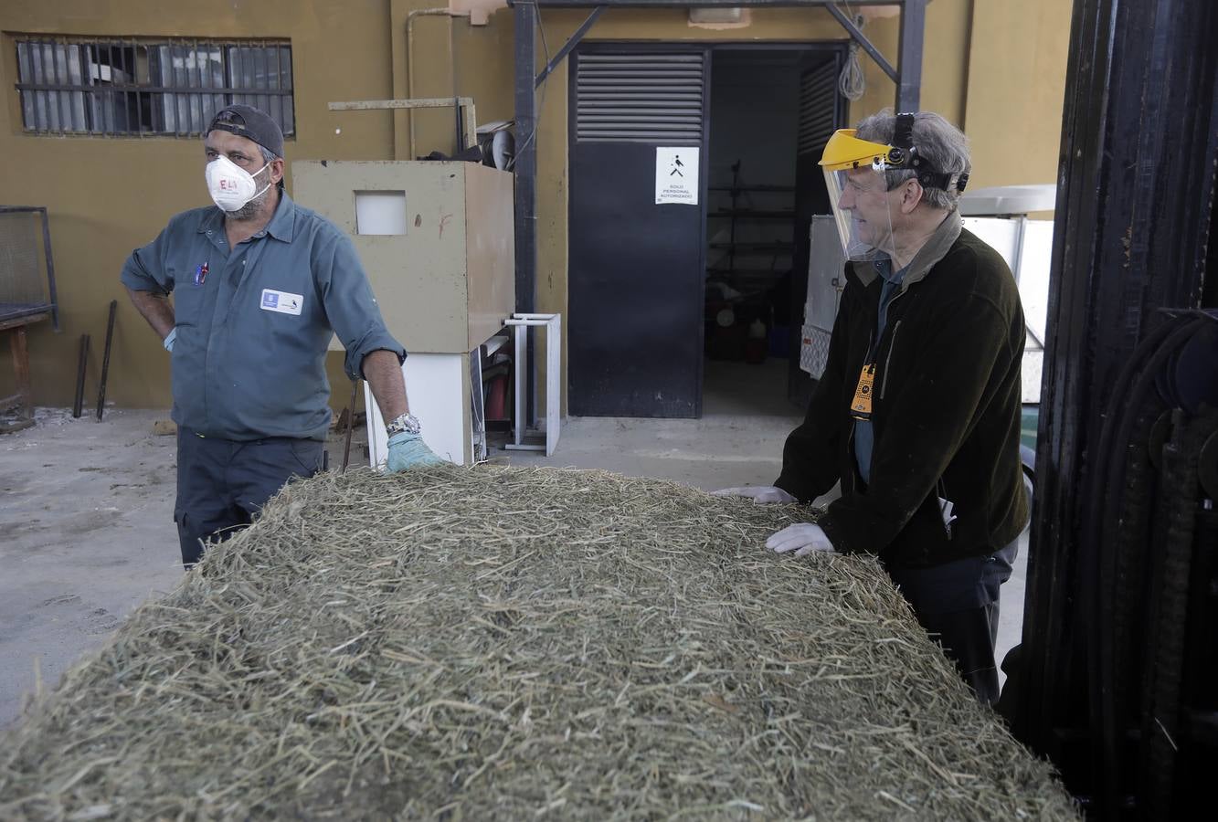 Fotos: El zoo de Jerez en los tiempos del coronavirus