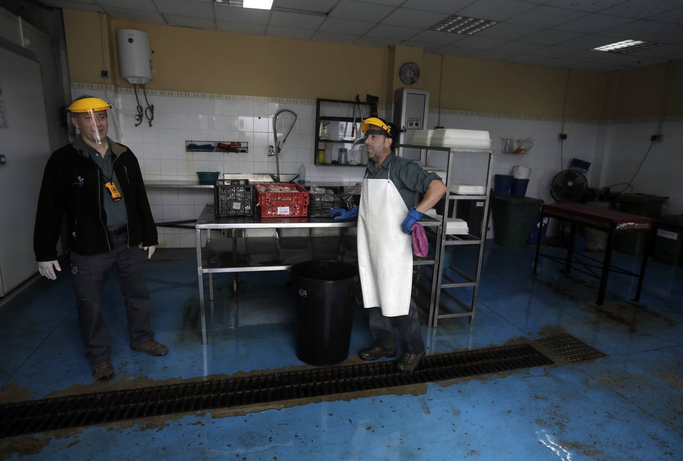 Fotos: El zoo de Jerez en los tiempos del coronavirus